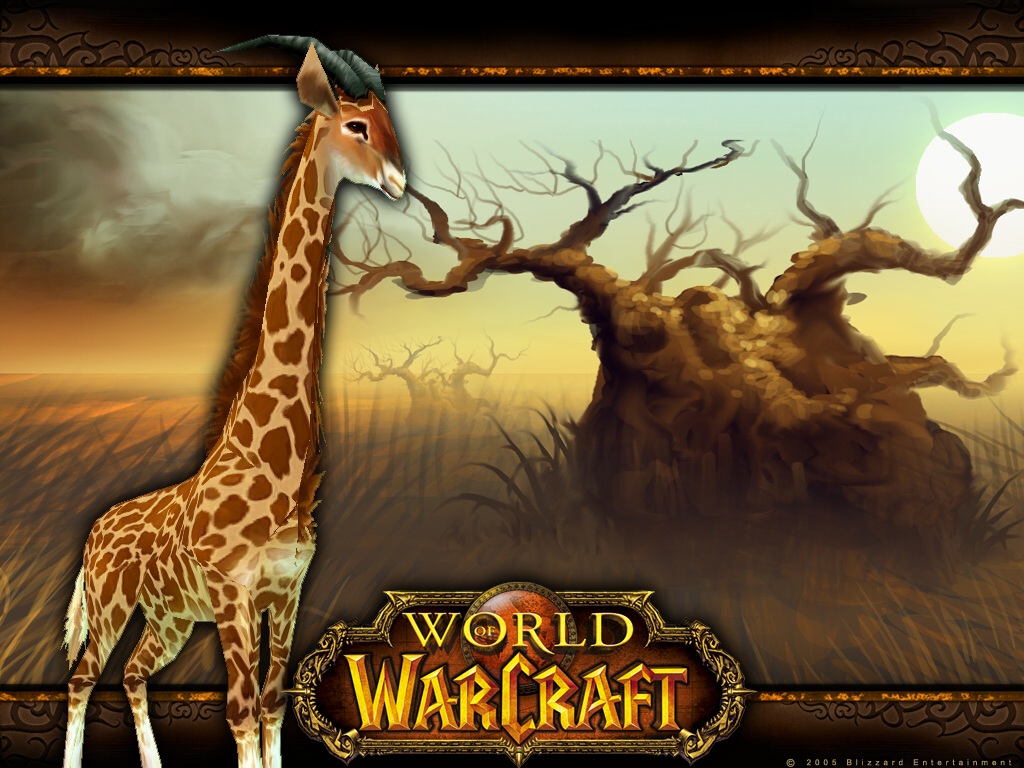 world-of-warcraft-3.jpg
